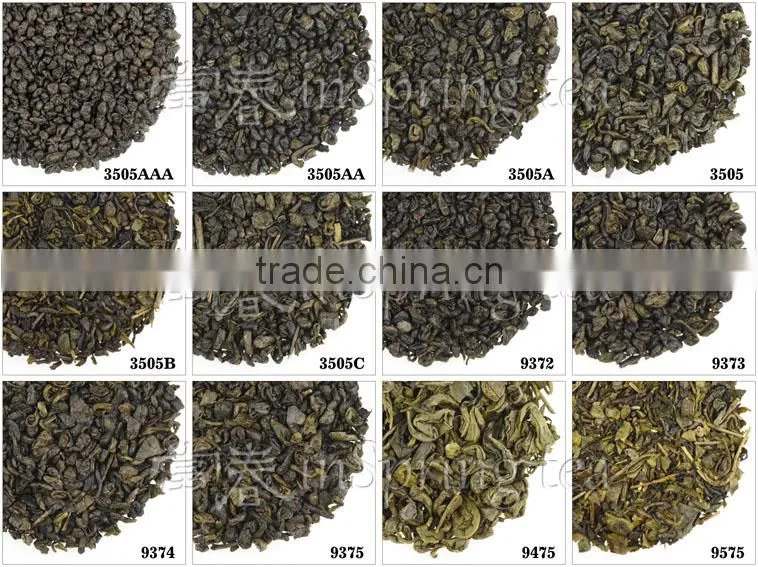 Chinese Green tea Gunpowder 8622