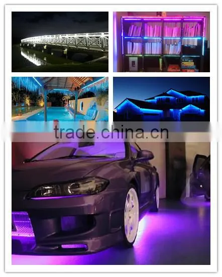 RGB 600leds Flexible LED Christmas Light