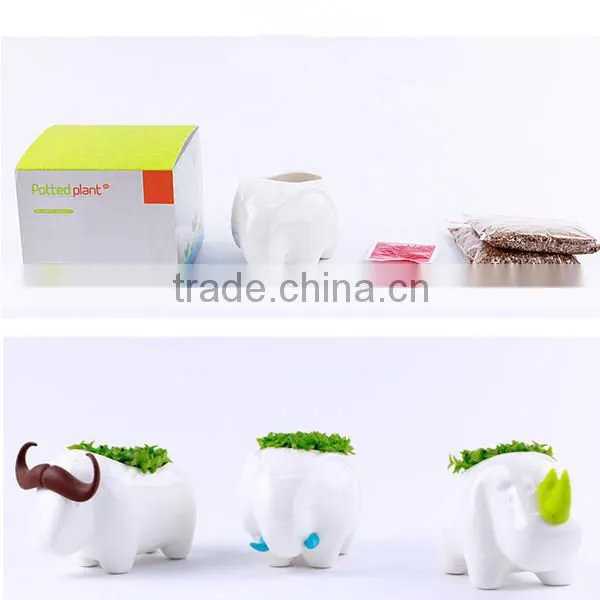 Novel talbe elephant design office bonsai pot