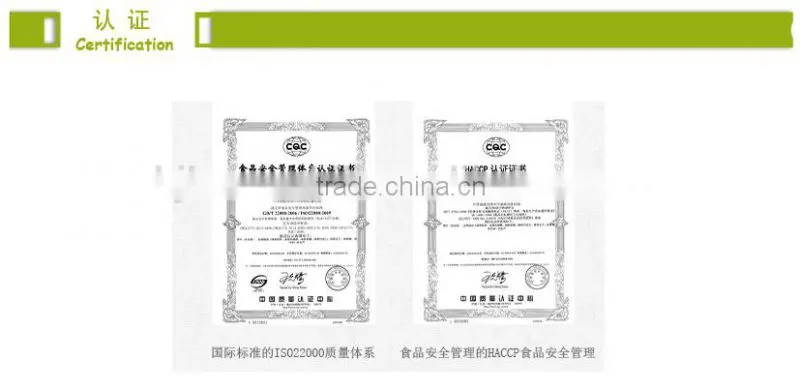 Chinese natural Jasmine tea bag
