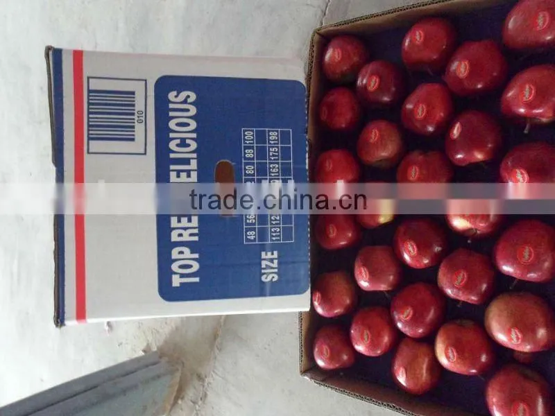 RED DELICIOUS APPLE 2015