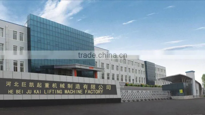 100m electric chain hoist 1phase 220v/110v electric chain hoist