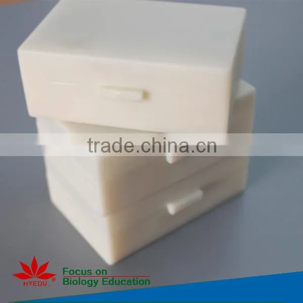 Individual microscope prepared slides Medical parasite microscope slides