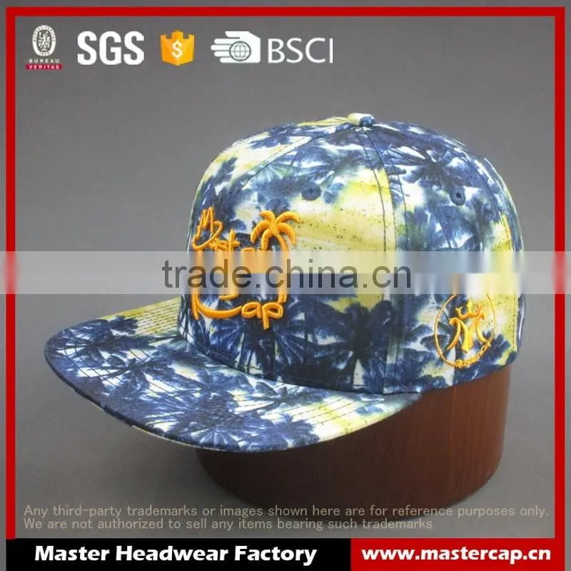 3D embroidery colorful 5-panel snapback