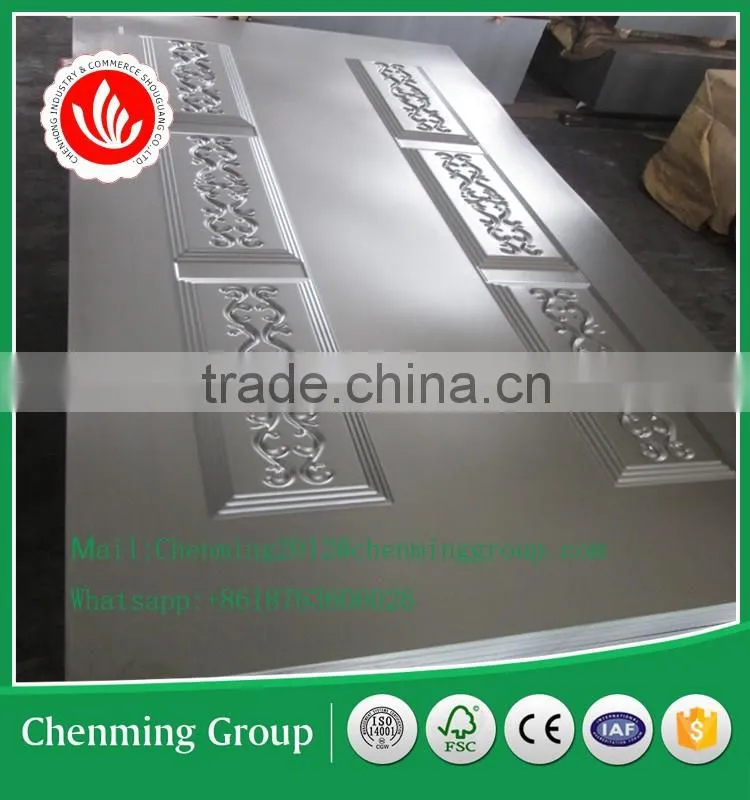 steel moulded door skin for security door
