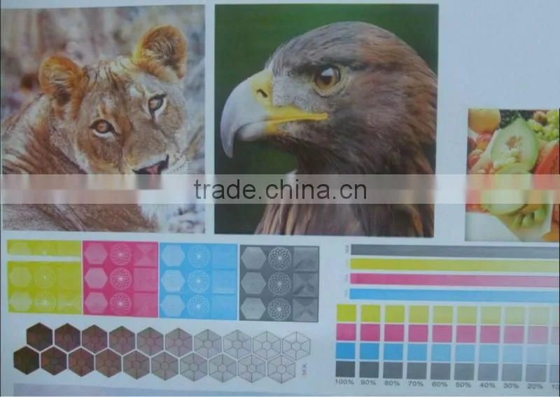 Letterpress type plastic bag roll to roll Flexo printing machine