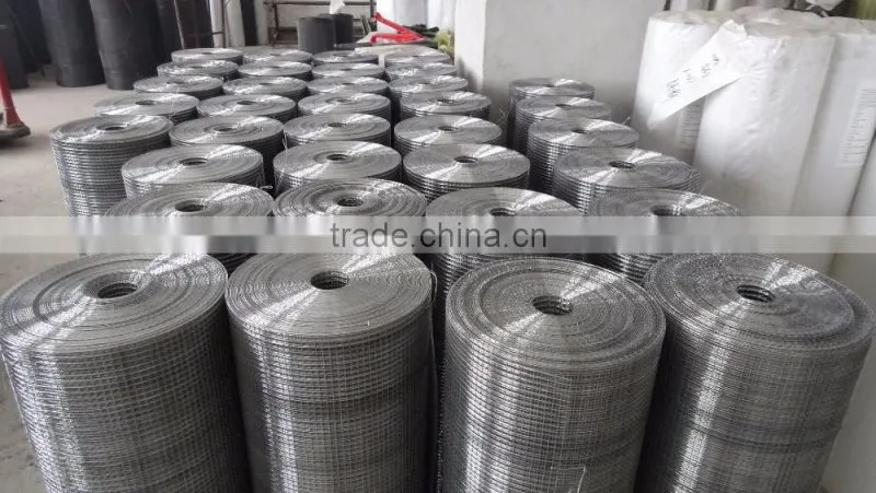 electro-galvanized 1/2 inch mesh welded wire mesh for construction