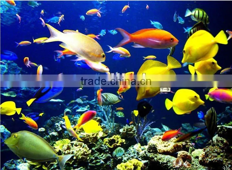 Water Purification Polymer Polycaprolactone for Green Aquarium