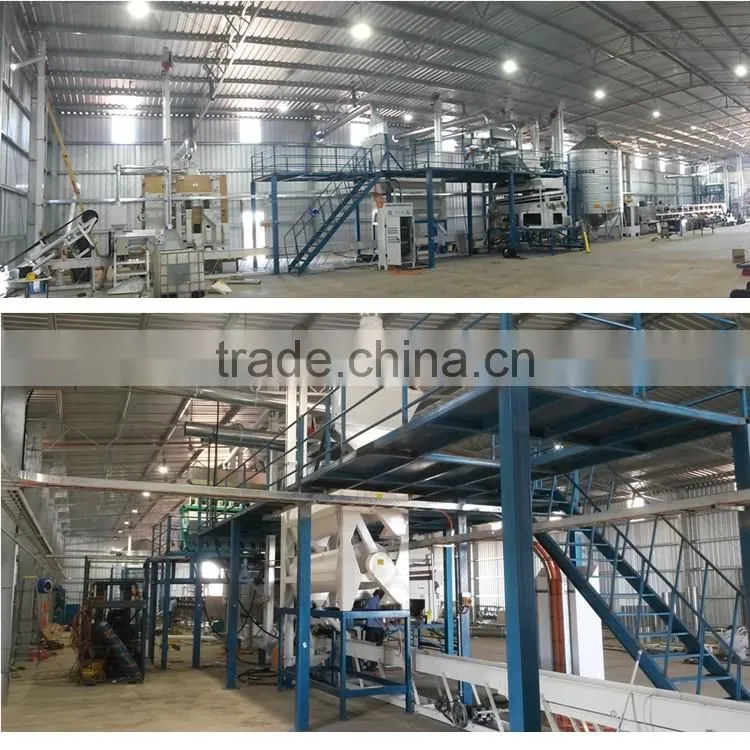 The Best Quality Maize Seed Processing Plant