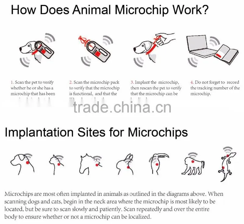 Microchips 125khz rfid Glass Tag for Snake Fish Dog