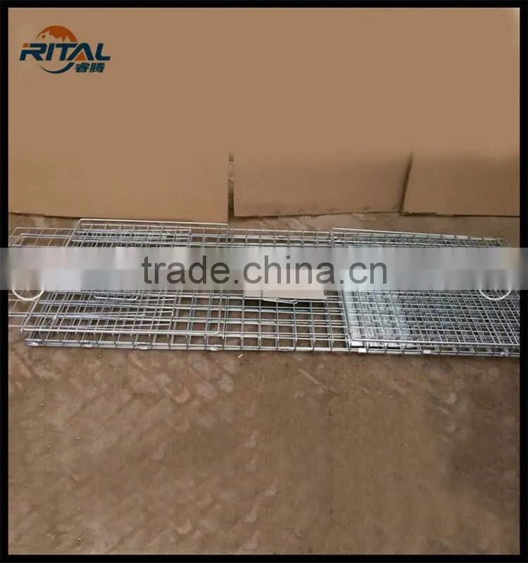 Large Trap Live Possum Rabbit Fox Cat Squirrel Trap Cage
