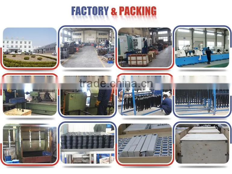 Single acting hydraulic cylinder