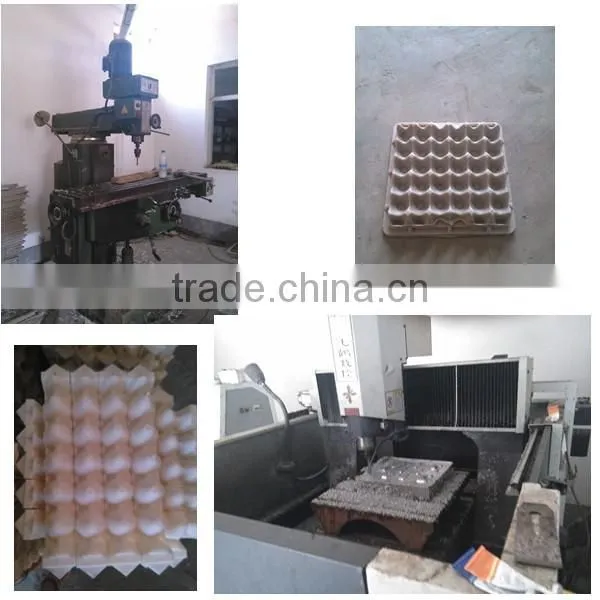 customized paper egg tray moulds
