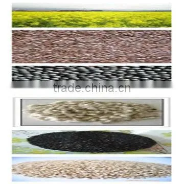 300TPD Vegetable Oil Recycling Equipment