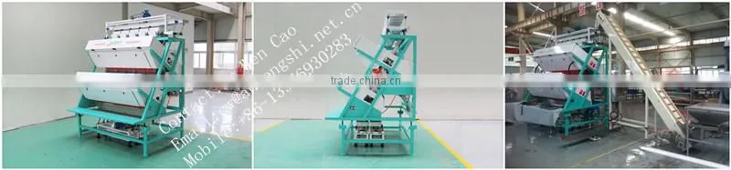 Orthodox Tea Color Sorting Machine