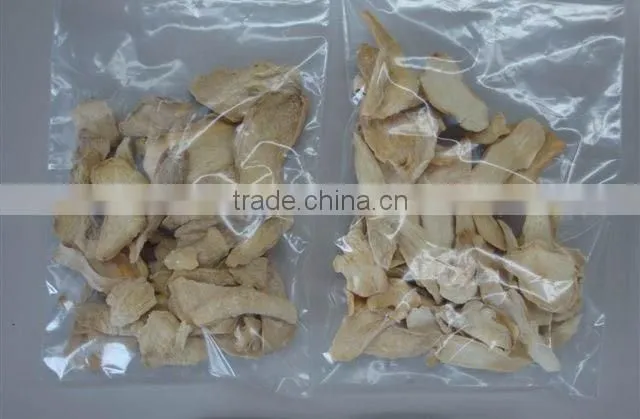 Ginger Multiple layer continuous type mesh belt dryer