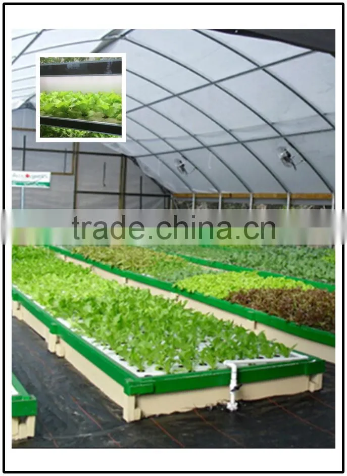 searea greenhouse plastic seed tray for greenhouse hydroponic lettuce