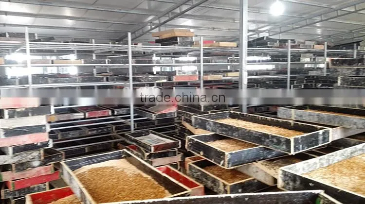 Microwave Dried Mealworms for Reptiles ;China Products Dried Mealworms
