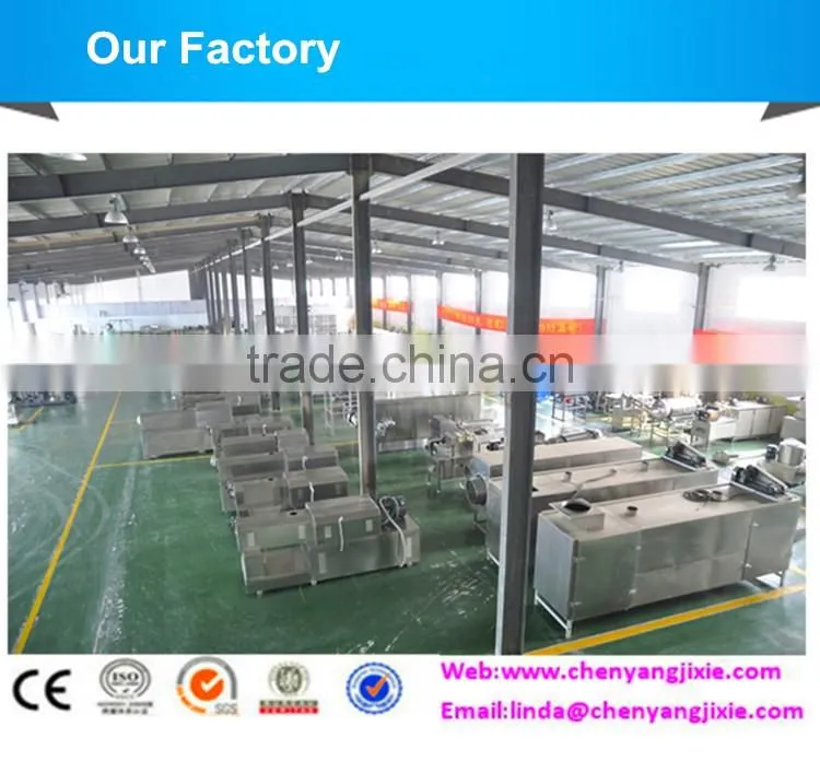 2016 cheap price various chips making line/snack food machines manufacturer/chips manufacturing machine