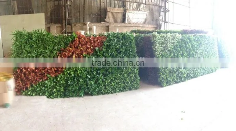 Export outdoor wall plants decoration