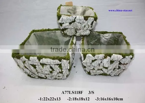 moss covered flower pot