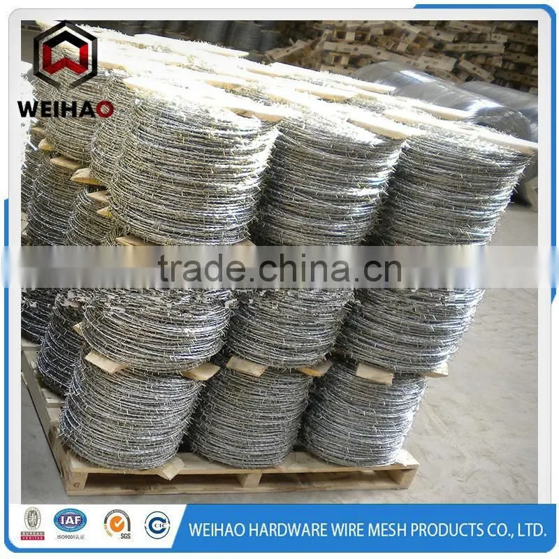 Professional Maker Best Competitive Price Galvanized Barbed Wire
