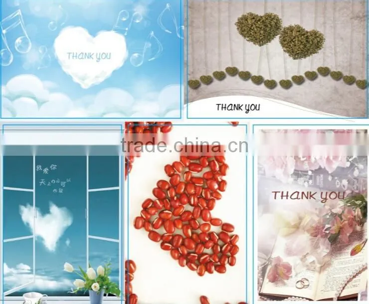 Full Color Printing Handmade Card Birthday Greeting Cards Message Card