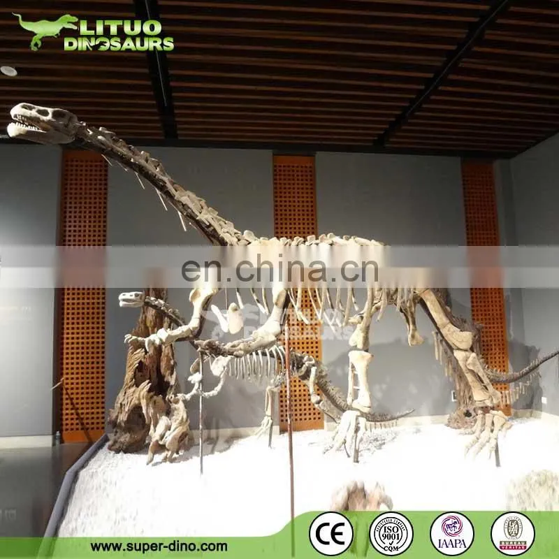 Trade Assurace High Simulation Museum T REX Skull