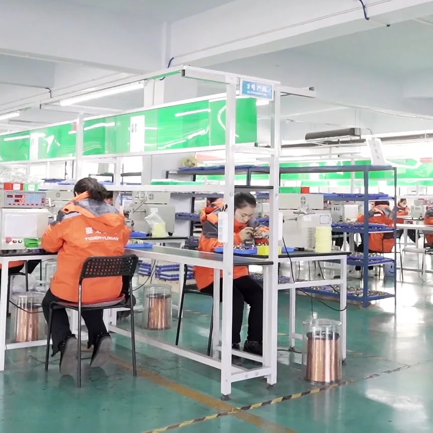 Anhui Tiger Co., Ltd. company overview - view 1