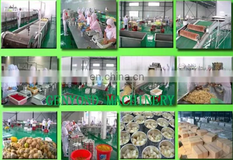 Factory Supplier cucumber pickles making machine