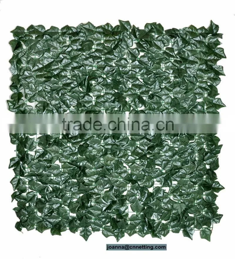 ivy trellis