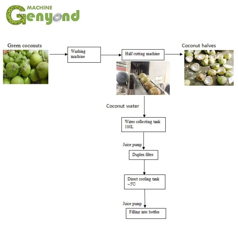 Coconut Processing Green Coconut Half Cutting Machine
