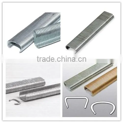 C Ring Staples Series