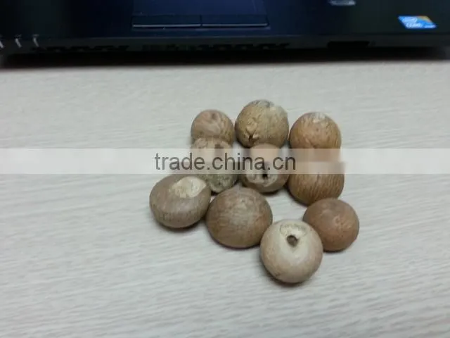 Vietnam Whole Betel Nut