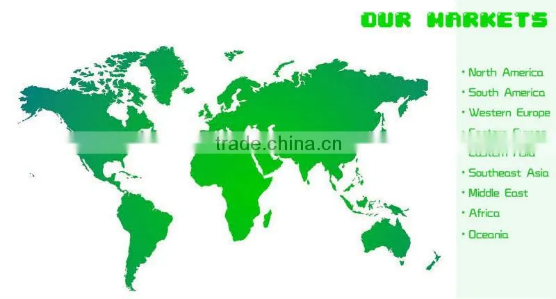 High Quality outdoor children playground equipment