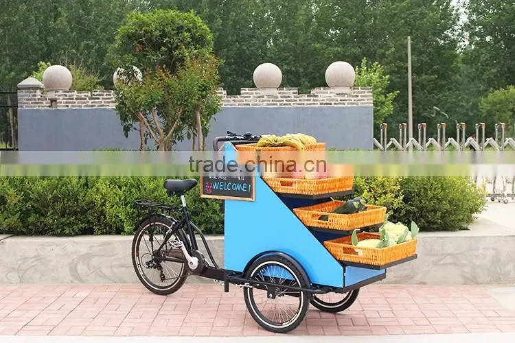 street vending retail bike for fruit vegetables