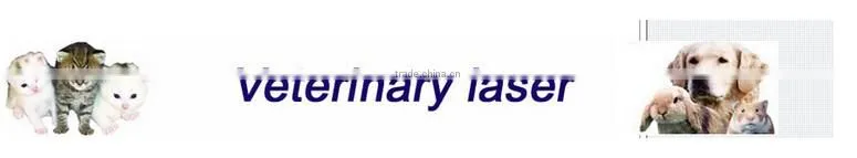 Medical & veterinary co2 laser/Vetrinary laser/Co2 laser veterinary