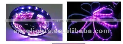 12V LED Strip Light