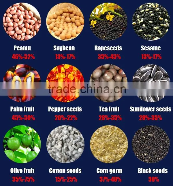 Hot sale in Africa baobab seeds oil press machine from Dingsheng