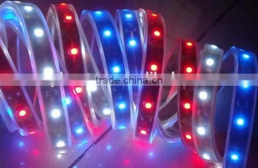 Hot sale Flexible led strip light RGB5050 Led strip light waterproof IP65/IP20/IP67/IP68