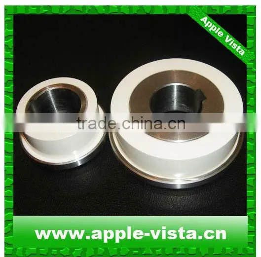 ZrO2/Zirconia Ceramic Bearing Used in Pulley