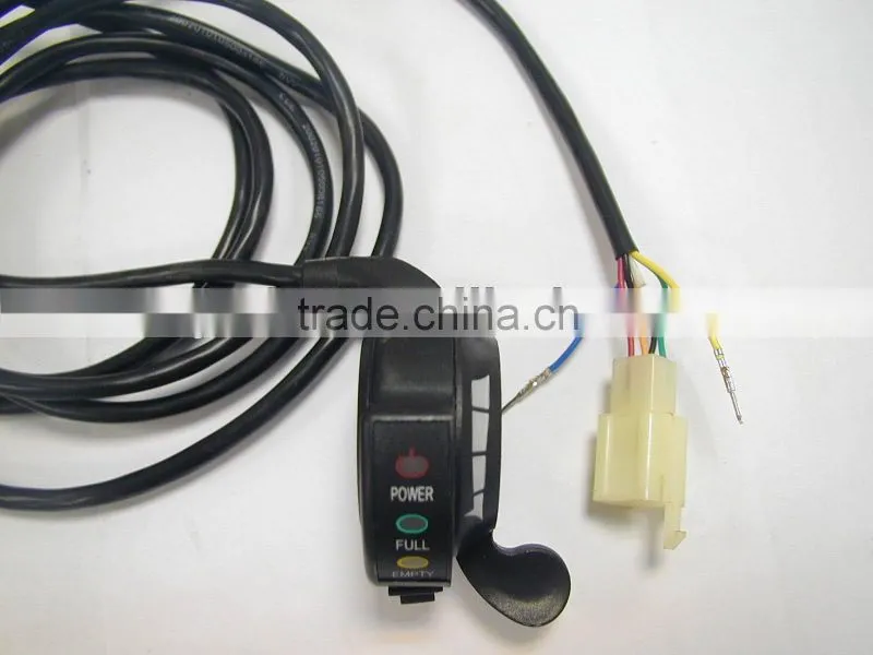 Ebike Conversion Kit-Rear Direct Motor with Rack Lithium/LiFePO4 Battery