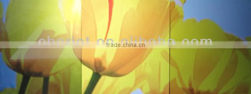Rear projection film, 3d hologram film for window display