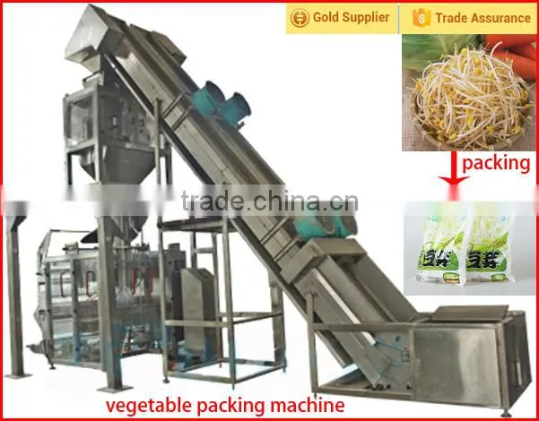 automatic fruit and vegetable packing machine