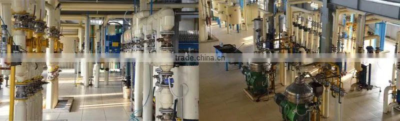 PREMIUM FISH COOKING OIL FOR SALE