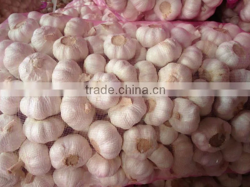 2012 crop Chinese garlic pure white skin