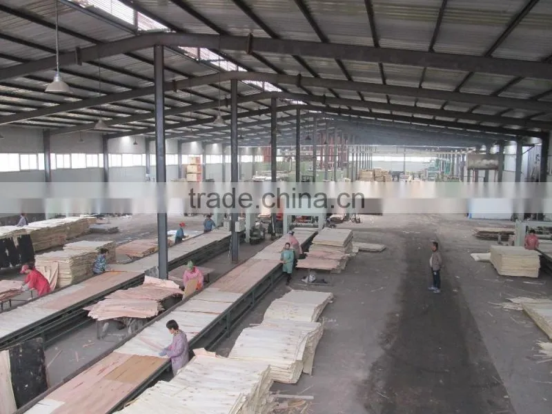 18mm anti-slip film faced plywood, wire-mesh film faced plywood,madera contrachapada