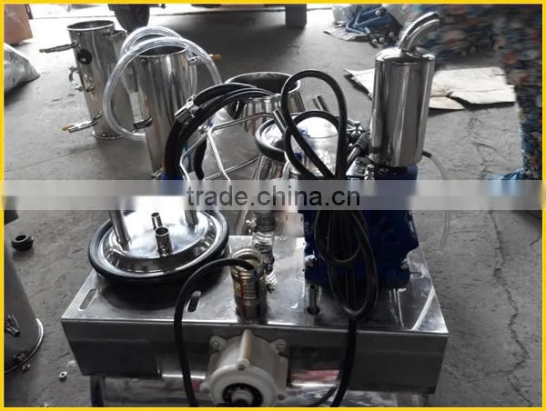 pipeline milking machine group of two buckets