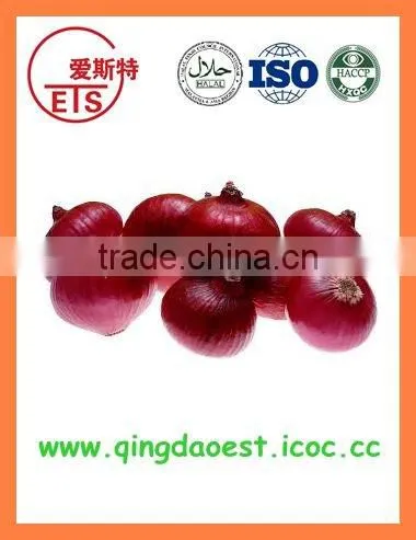 Best quality fresh products red/yellow onion from china