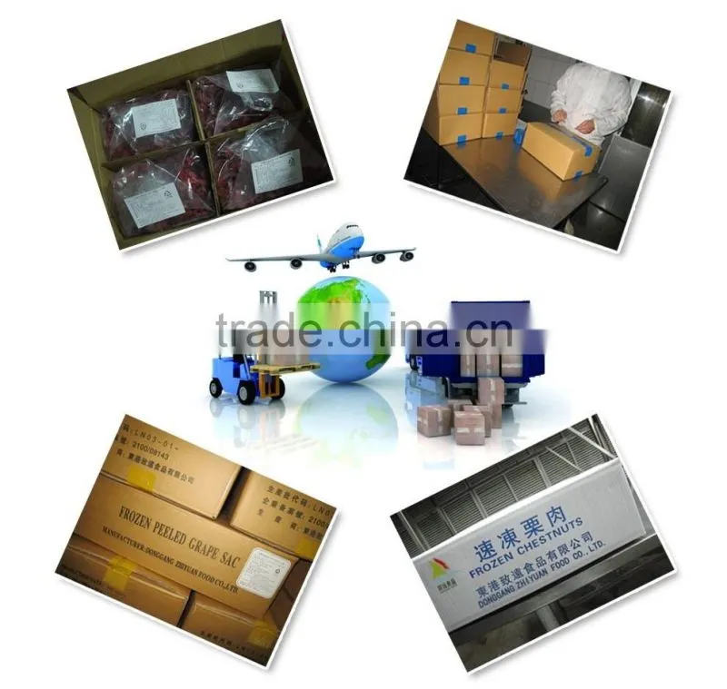 High quality best price new crop sweet frozen chedtnuts